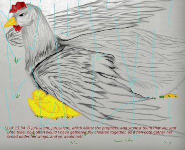 hen_and_chicks_by_whitefirepanther-d7rj4jb